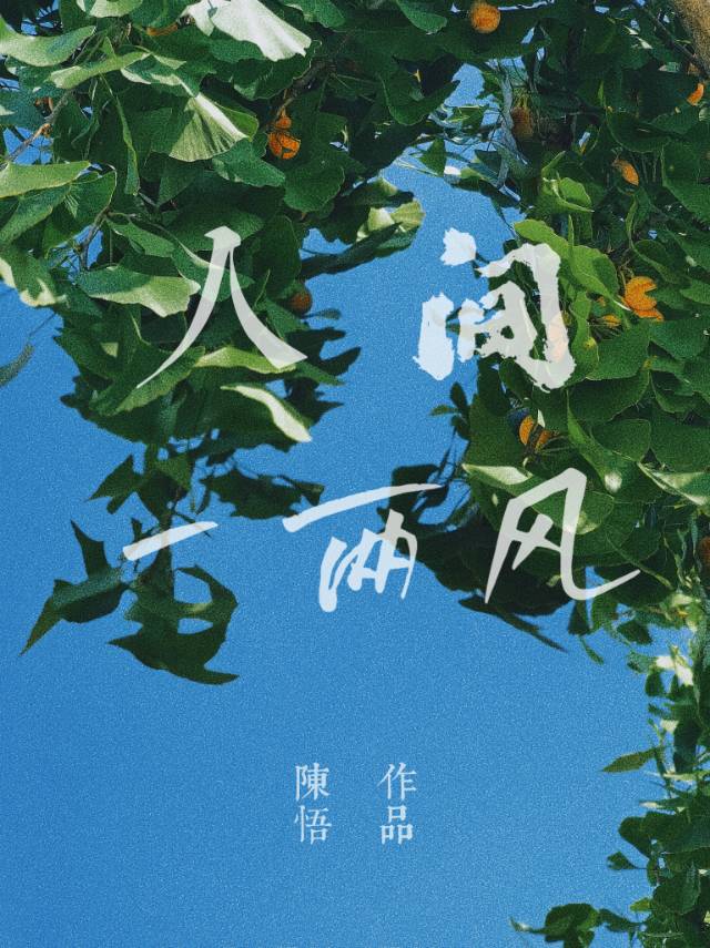 人间一两风（先婚后爱）